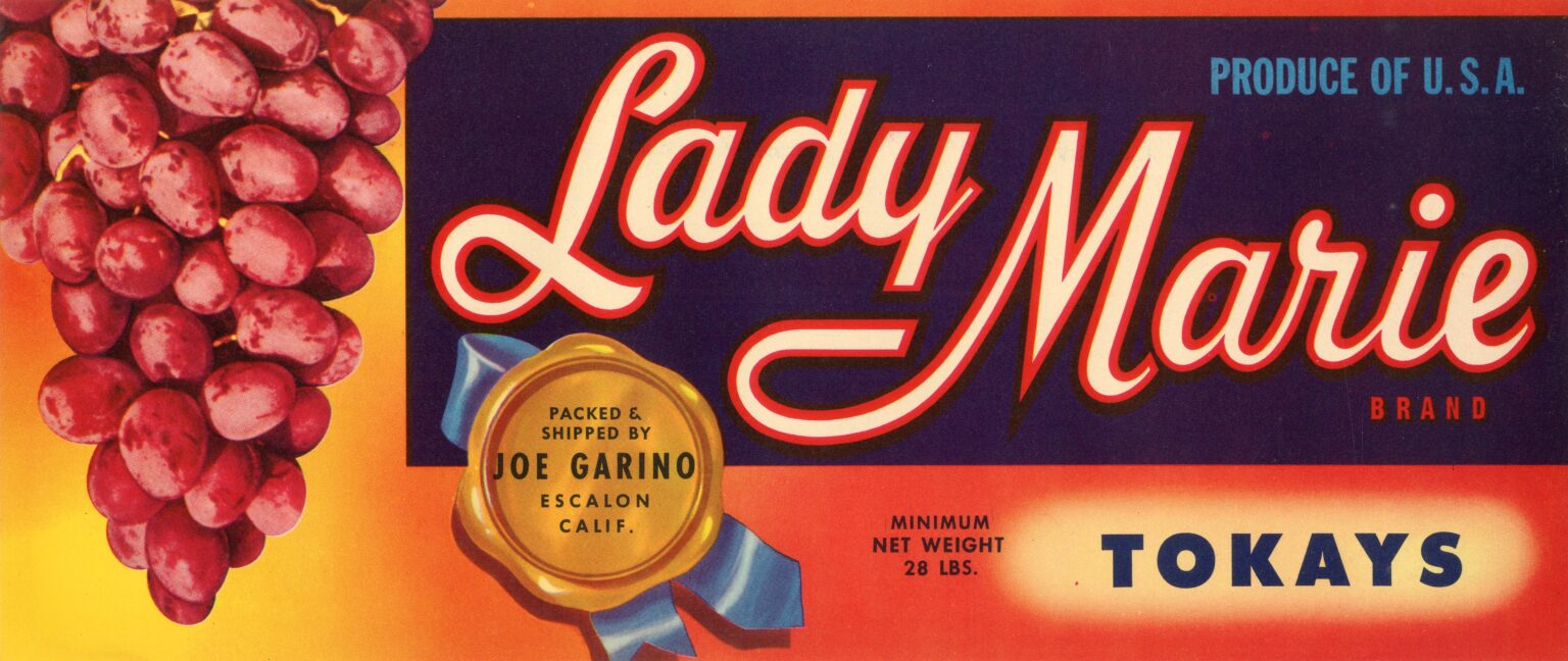 Lady Marie